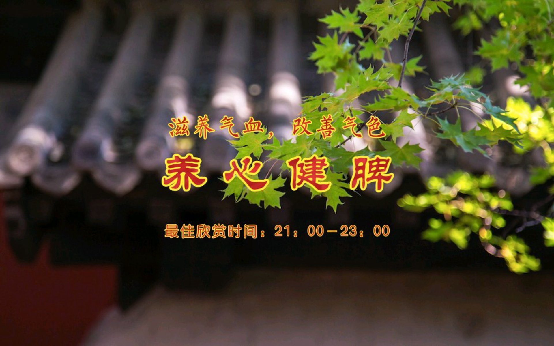 心弦乐器行